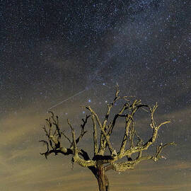 Perseid And... Satellite by I Hope You Enjoy