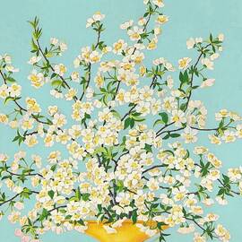 Petaled Cherry Blossoms by P.w. Kruetzfeldt