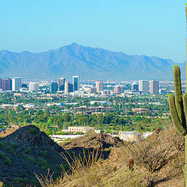 Phoenix Skyline Framed By Saguaro by Dszc