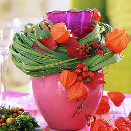 Physalis, Spartina, Rosa by Friedrich Strauss