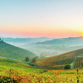 Piedmont, Barbaresco, Italy by Marco Arduino
