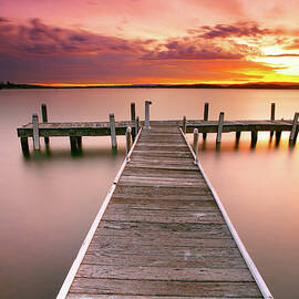 Pier In Lake Macquarie At Sunset by Yury Prokopenko