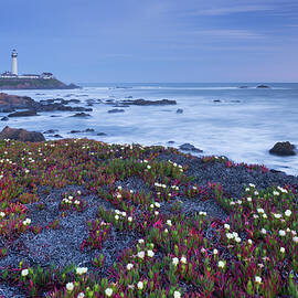 Pigeon Point Lighthouse, Cabrillo Highway 1, California, Usa by Rainer Mirau