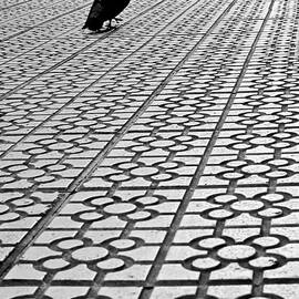 Pigeon Walks On Typical Tiles Bilbao by Eneko Garcia Ureta - FotografAa