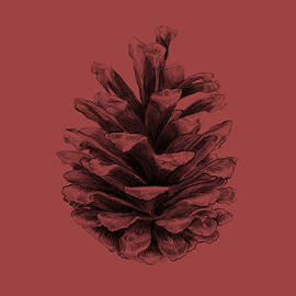 Pine by Eric Fan