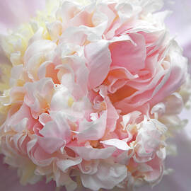 Pink Parfait by Jessica Jenney