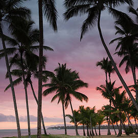 Playa Las Terrenas Beach At Dawn, Las by Walter Bibikow