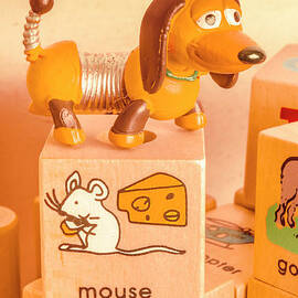 Playtime pets by Jorgo Photography