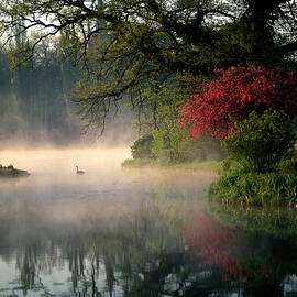 Pond With Duck & Early Morning Mist by Giovanni Simeone