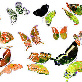 Pop art tropics by Jorgo Photography