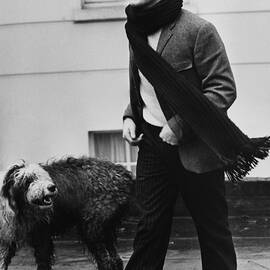 Portrait Of Paul Mccartney With His Dog by Keystone-france