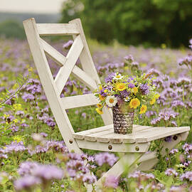 Posy Of Dyers' Chamomile, Ox-eye Daisies And Scabious On Wooden Chair In Field Of Purple Tansy by Angelica Linnhoff