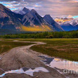Preachers Point Rainwater Reflections by Adam Jewell