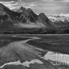 Preachers Point Rainwater Reflections Black And White by Adam Jewell