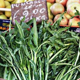Puntarella Lettuce In A Basket At A Market by Alexandra Panella