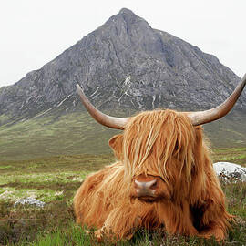 Quintessential Scotland by Thedman