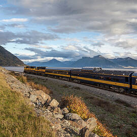 Railroad Train by Mel Manser