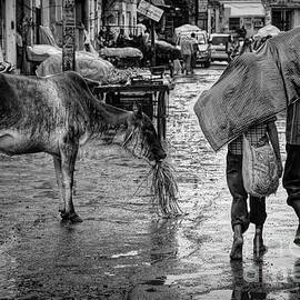 Rain in Delhi by Stefano Senise