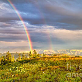 Rainbow in the Blue Mountains by Bruce Block