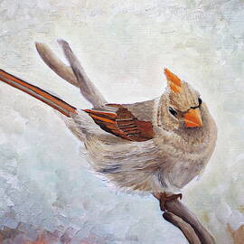 Red Bill Beauty by Angeles M Pomata