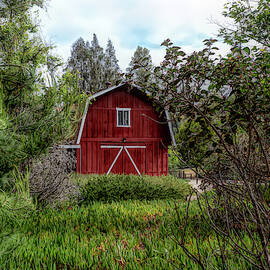 Red House Over Yonder by Alison Frank