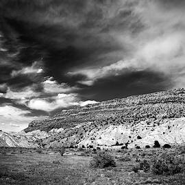Red Mesa Black and White by Howard Holley