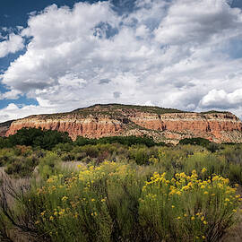 Red Rock Cliffs near Abiquiu by Mary Lee Dereske