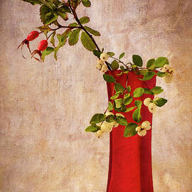 Red Vase with Wild Rosehips and Berries by Mary Lee Dereske
