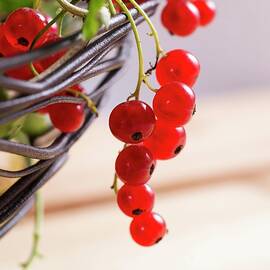 Redcurrants And Whitecurrants Hanging From A Wire Bowl by Mandy Reschke