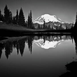 Reflection Of Mount Rainer In Calm Lake by Bill Hinton Photography