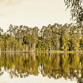Reflective rivers by Jorgo Photography