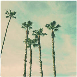Retro Palms by Denise Taylor