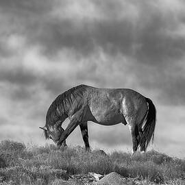 Ridge-line Solitude. by Paul Martin