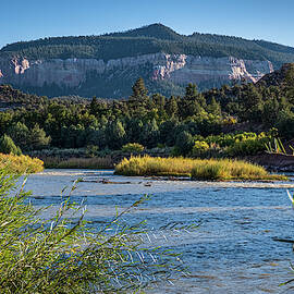 Rio Chama above Abiquiu by Mary Lee Dereske
