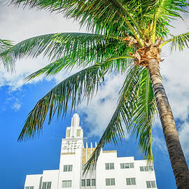 Ritz Plaza Hotel On South Beach by Laura Zeid