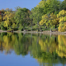 River Bank Trees In The Fall by Stevegeer