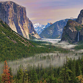 River Of Mist by Sapna Reddy Photography