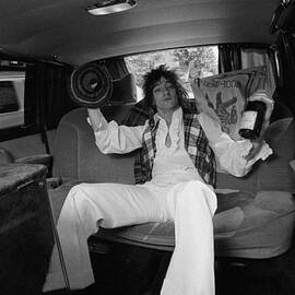 Rod Stewart by D. Morrison