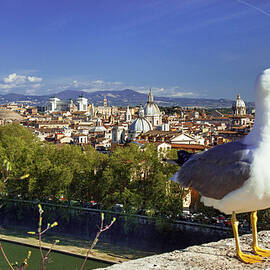 Rome, Cityscape With Tiber, Italy by Johanna Huber