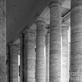 Rome - The Colonnade At St. Peter's Basilica by Stefano Senise