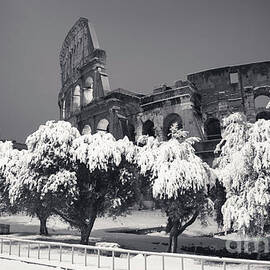 Rome Under Snow - Colosseum Black And White by Stefano Senise