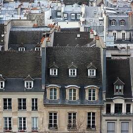 Roofs Of Paris by Landscape And Urban Landscape