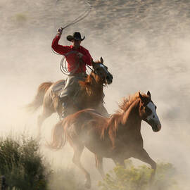 Roping One Of The Herd by Worldwideimages