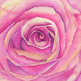 Delicate Rose by Lois Blasberg