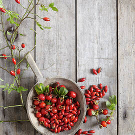 Rosehips In A Wooden Bowl On A Wooden Background by Anke Schütz