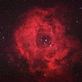 Rosette Nebula by Pat Gaines