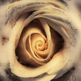 Rosy reflections by Jorgo Photography