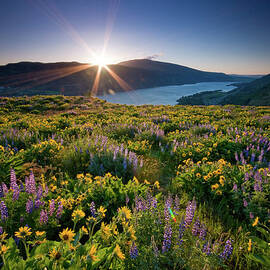 Rowena Crest - Spring 2008 by Jesse Estes