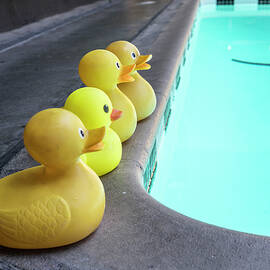 Rubber Ducks By Pool by Giovanni Simeone