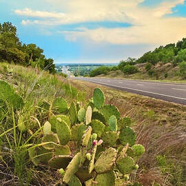 Rural Texas Highway, Prickly Pear by Dszc
